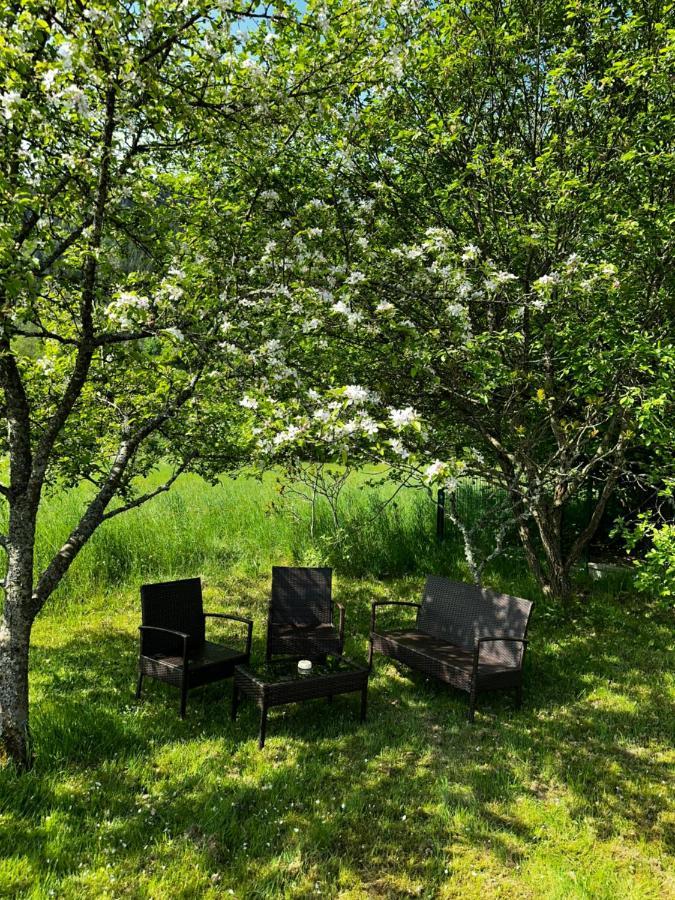 Spacieux Avec Grand Jardin Et Terrasse 1 A 8 Pers Granges-sur-Vologne