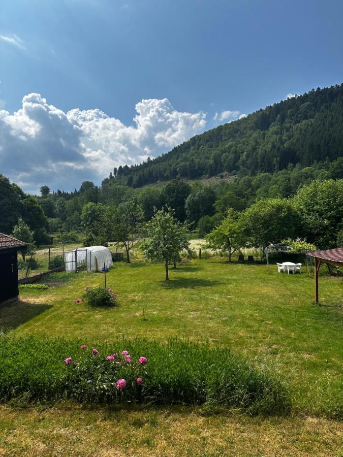 Spacieux Avec Grand Jardin Et Terrasse 1 A 8 Pers Apartment *
